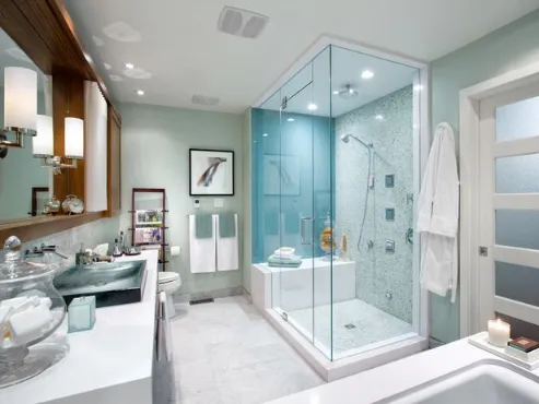 Tempered Glass Shower Door