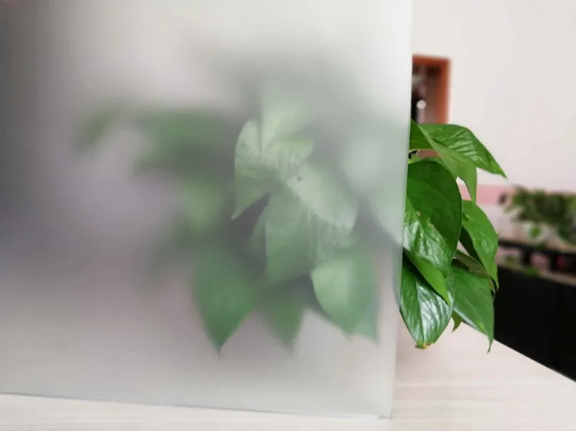 Frosted glass panel with a smooth matte finish, blurring the plant behind it to show high privacy and soft light diffusion