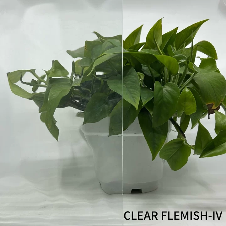 CLEAR FLEMISH-IV
