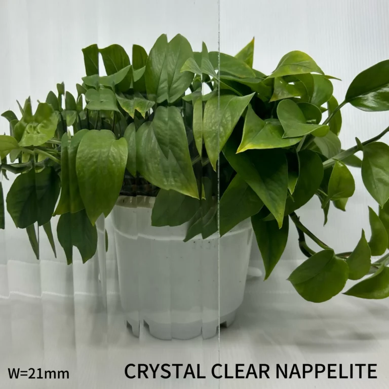CRYSTAL CLEAR NAPPELITE